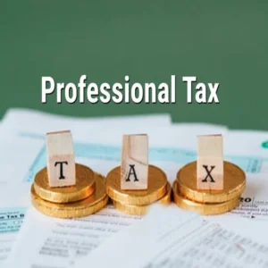 Professional Tax Registration